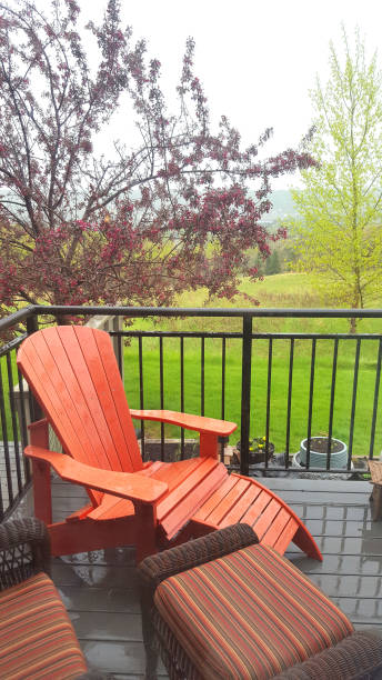 istock Wet Springtime Morning On The Residential Patio 1320056629