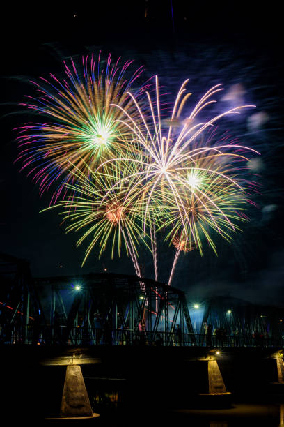 istock Colorful fireworks display over iron bridge it celebration for New year 1320061639
