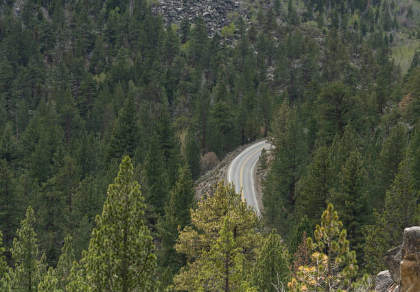 istock Curve in a Sierra Nevada Road Surrounded by Forest 1320069536