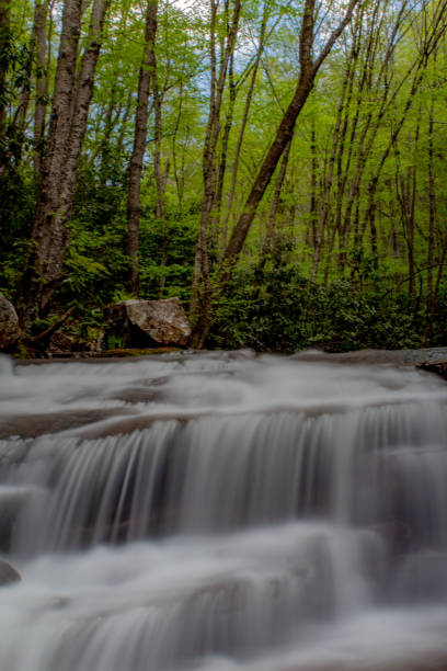 istock Cascading creek and waterfalls in Virginia 1320072537