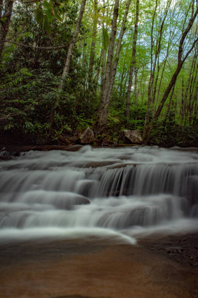 istock Cascading creek and waterfalls in Virginia 1320072541