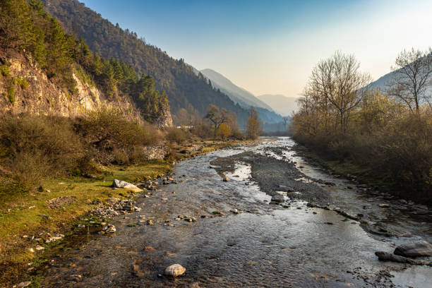 istock river flowing through misty mountain valley covered with dense forests at dawn from flat angle 1320074677