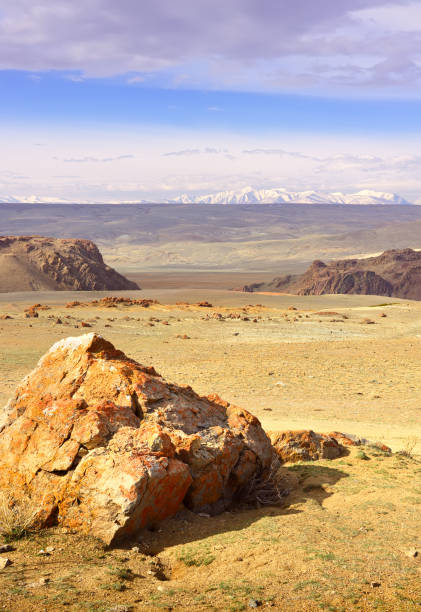 istock Chui Valley in the Altai Mountains 1320074688