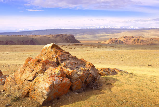 istock Chui Valley in the Altai Mountains 1320074707