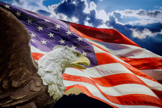 istock An american bald eagle on american flag 1320074746