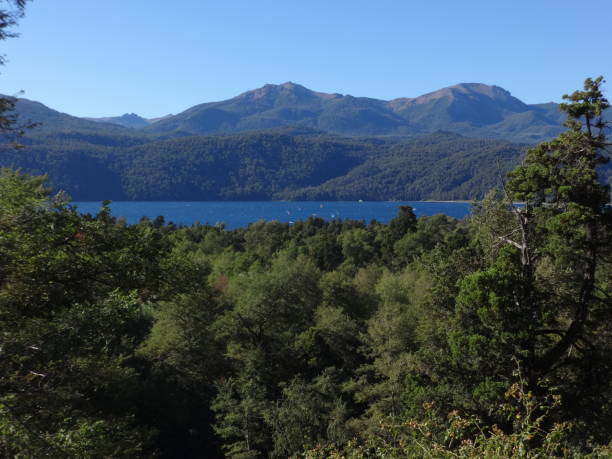 Lacar lake Quila Quina, Lacar lake, San Martin de los Andes, Patagonia lácar lake photos stock pictures, royalty-free photos & images