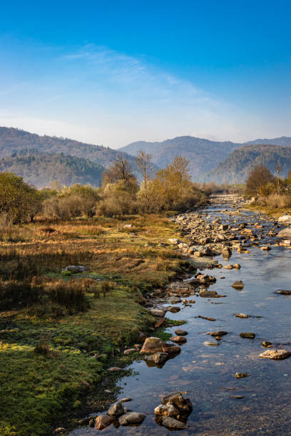 istock river flowing through misty mountain valley covered with dense forests and blue sky at dawn 1320075438