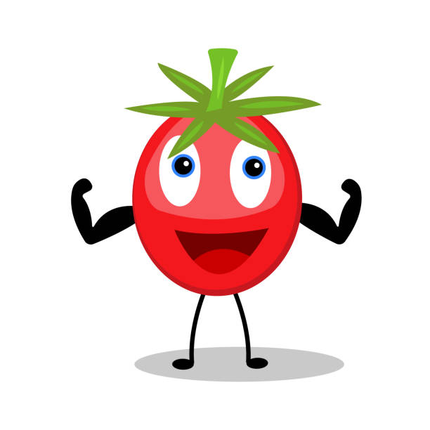 postać z kreskówki dojrzała czerwona pomidor z pompowanymi mięśniami śmiejąca się radośnie na białym tle koncepcji rolnictwa i zdrowych warzyw - pumped stock illustrations