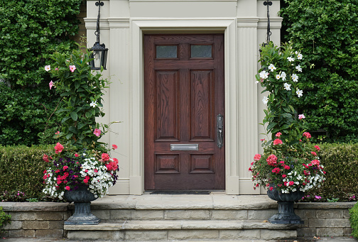 Elegant  wood grain front door of ivy covered house