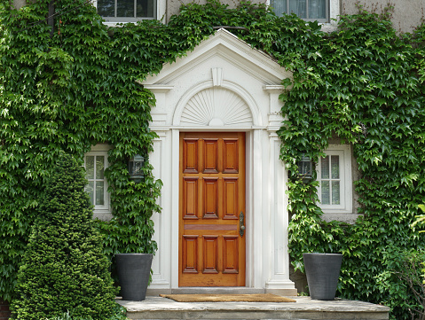 Elegant  wood grain front door of ivy covered house