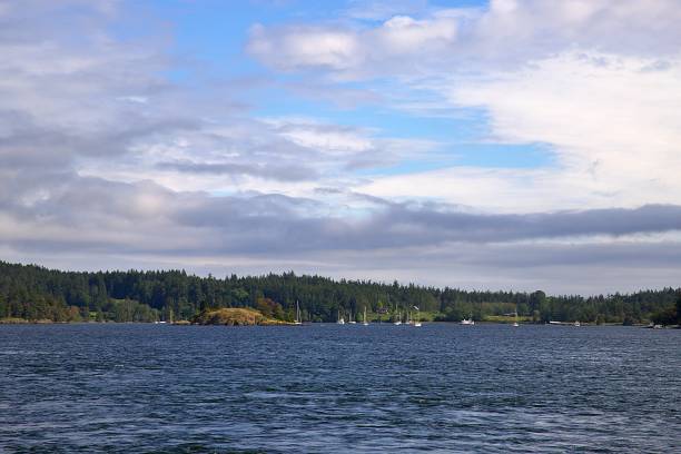 istock The San Juan Islands 1320081309