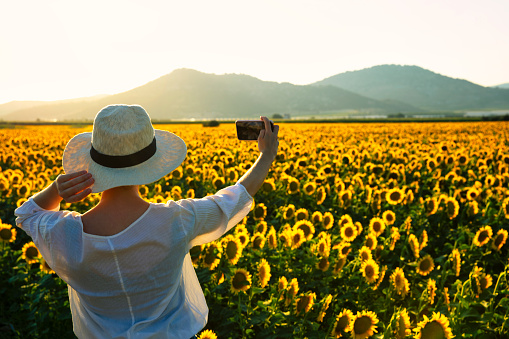 Young Women Making Selfie in Sunflower Field