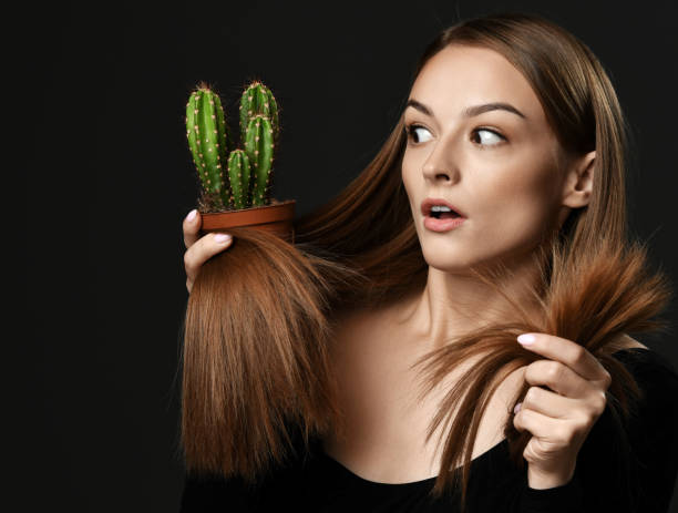 sfrustrowana zszokowana młoda kobieta z długimi jedwabistymi prostymi włosami porównuje włosy rozdwajające się z rośliną kaktusa w doniczce, którą trzyma - moisturizer women cosmetics body zdjęcia i obrazy z banku zdjęć