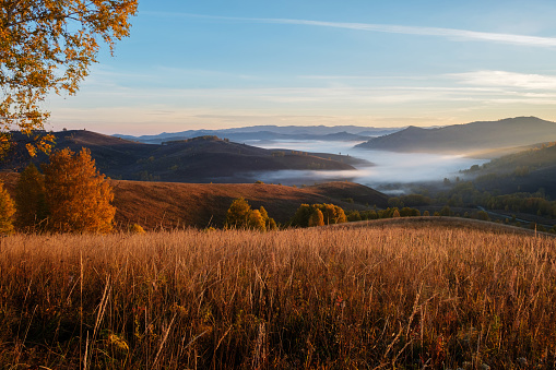 Morning fog in a mountain valley, the rising sun illuminates the hills. Autumn Altai.