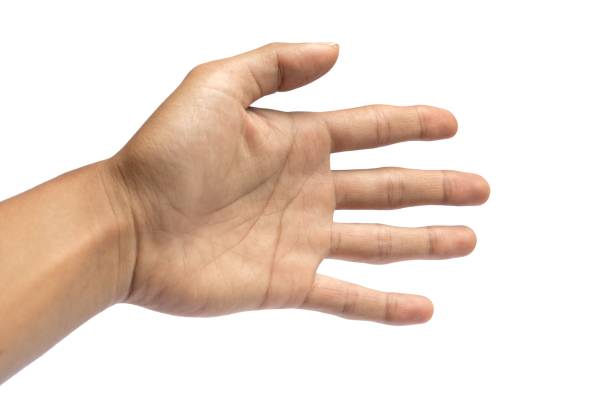 istock Asian male hand isolated on white background 1320086690