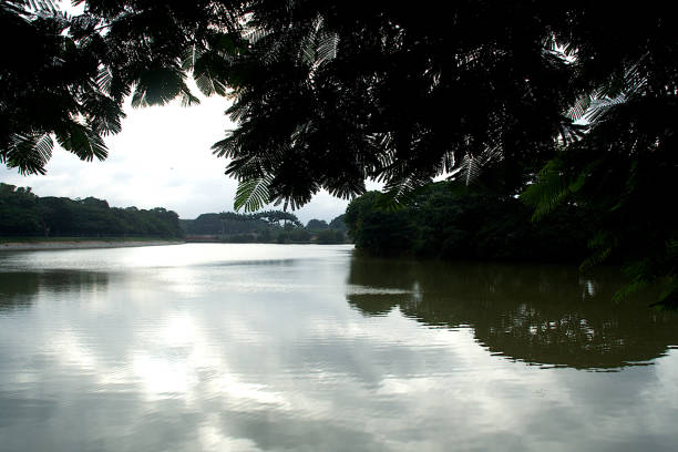 trees around  lalbagh lake - lalbagh imagens e fotografias de stock