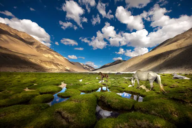 Landscape scenery  on the way to Pangong Tso Lake.