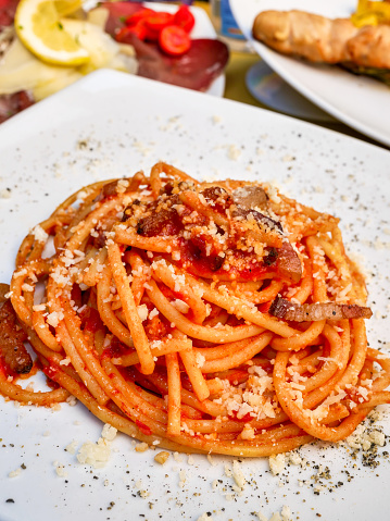 An appetizing and inviting dish of 'bucatini all'amatriciana' (pasta with amatriciana style sauce), a typical dish of Roman and Lazio cuisine with fresh and simple ingredients: fresh tomato, bacon, pecorino cheese and bucatini or spaghetti pasta. Image in High Definition format.