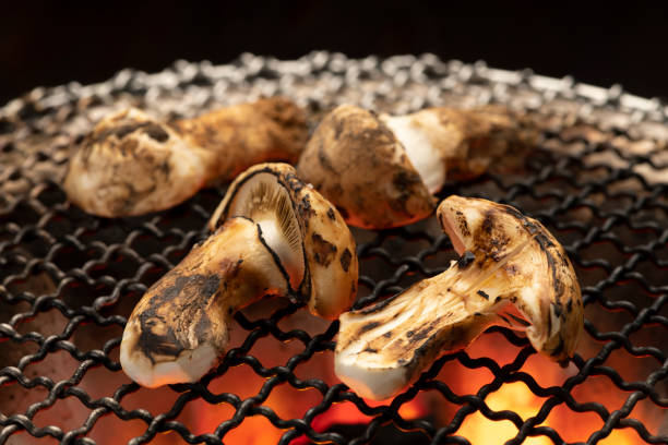 cogumelos matsutake grelhados a carvão. o sabor do outono no japão. - barbecue grill broiling barbecue vegetable - fotografias e filmes do acervo