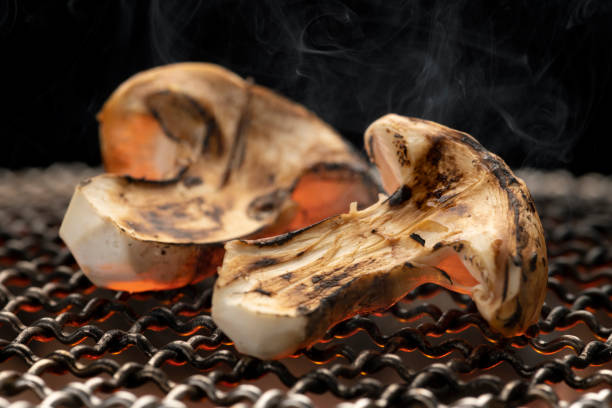 Charcoal-grilled matsutake mushrooms. The taste of autumn in Japan. Charcoal-grilled matsutake mushrooms. The taste of autumn in Japan. matsutake mushroom stock pictures, royalty-free photos & images