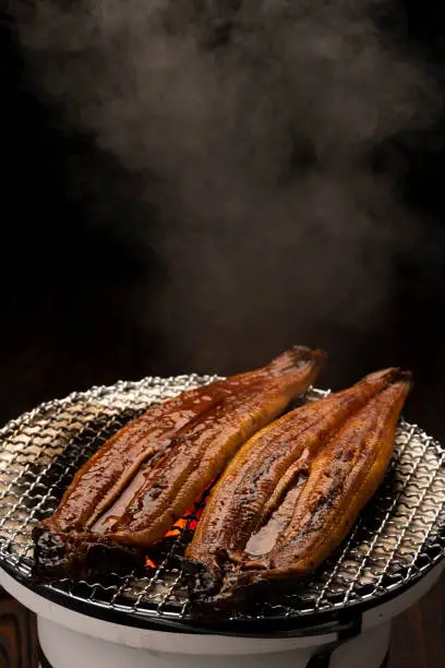 Eel Kabayaki Shichirin Charcoal Grill