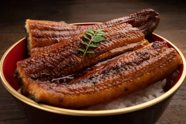 Una-juu or eel bowl. Marinated eel over a box of rice.