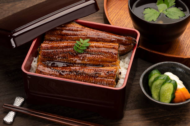 Una-juu or eel bowl. Marinated eel over a box of rice. Una-juu or eel bowl. Marinated eel over a box of rice. zanthoxylum stock pictures, royalty-free photos & images