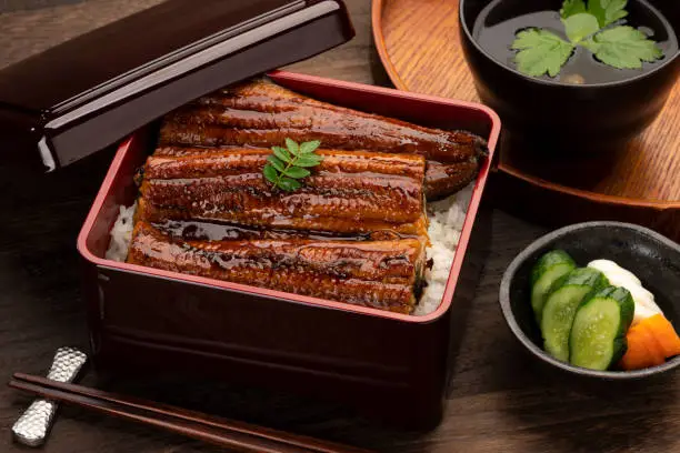 Una-juu or eel bowl. Marinated eel over a box of rice.