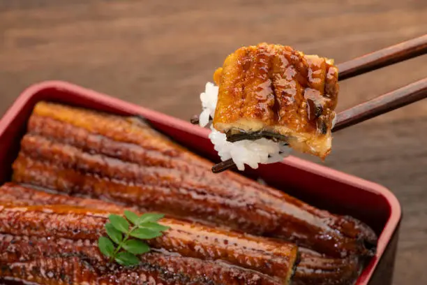 Una-juu or eel bowl. Marinated eel over a box of rice.