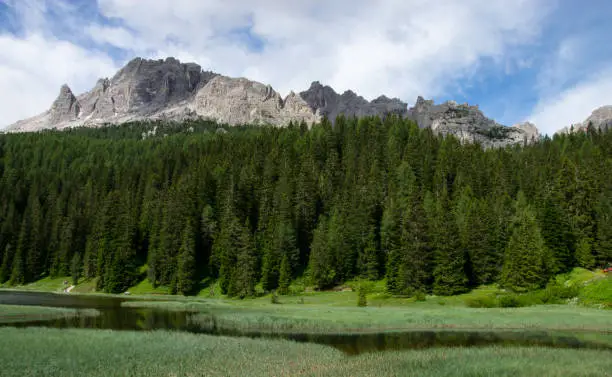 spring in the dolomites