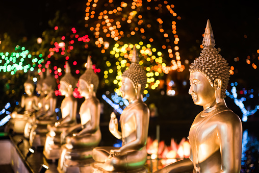 Beautiful Buddha Statues at Gangaramaya Temple at Night on a Vesak Poya Day