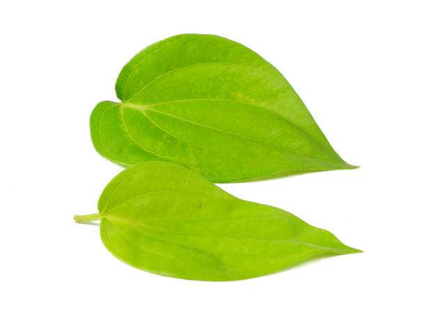 istock Betel leaf or (Piper betle) isolated on white background 1320099352