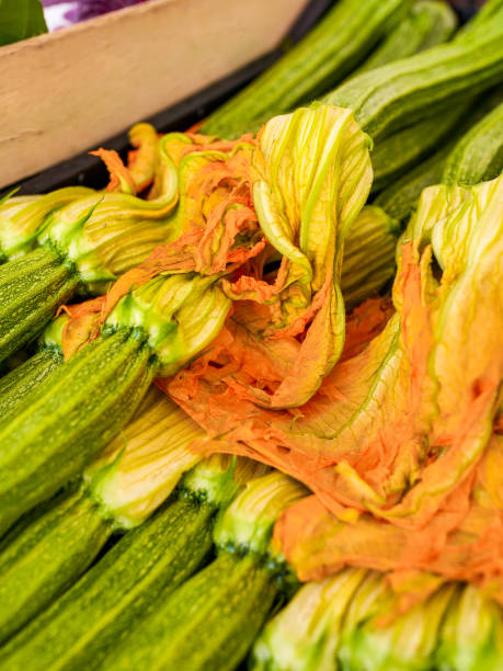 신선하고 건강한 로마 쿠르제트 바구니의 상세한 전망 - 호박 - zucchini farm store flower 뉴스 사진 이미지