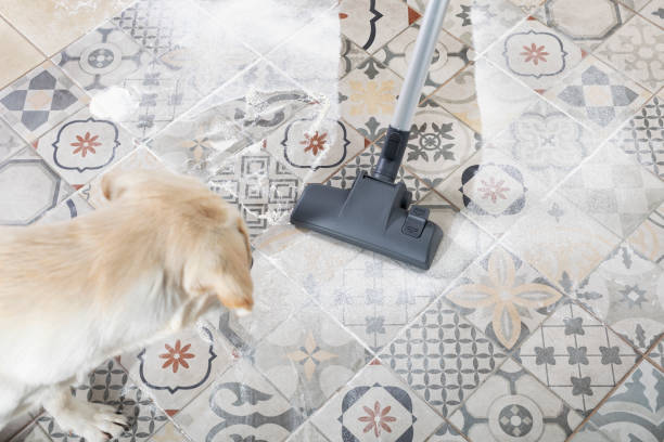istock Naughty dog is afraid and barks at vacuum cleaner while cleaning house 1320101765