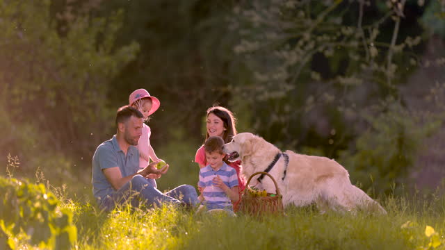 Family of four with a dog having a picnic in nature.