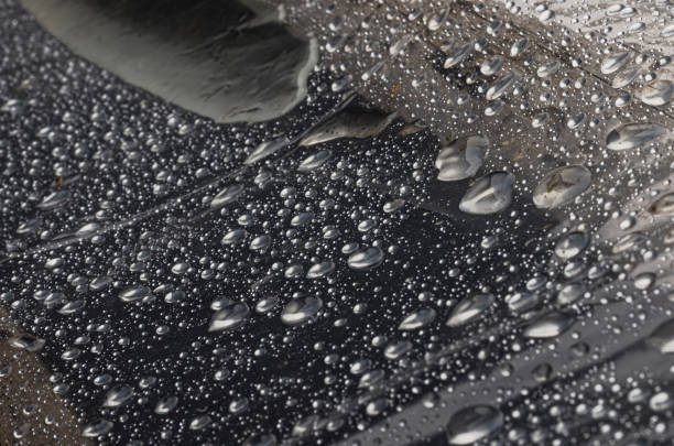 istock Accumulated drops on plastic wrap after rain 1320103259