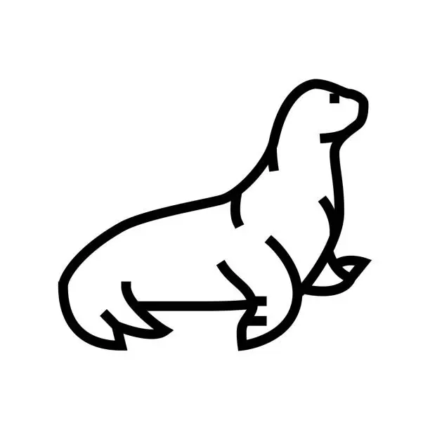 Vector illustration of sea lion line icon vector illustration