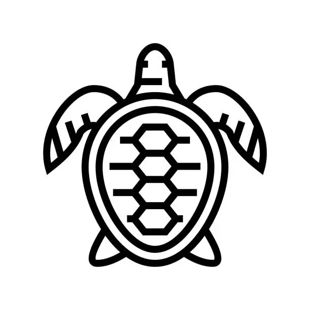 Vector illustration of turtle ocean line icon vector illustration