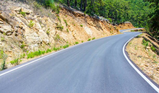 istock travel background - curved asphalt road in forest 1320111197