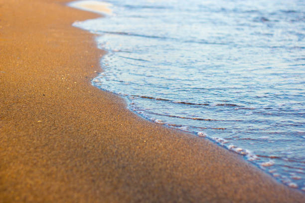 istock sandy beach with golden sand at sunset 1320111210