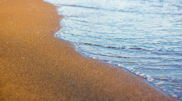 istock close up of sandy beach at sunset 1320111218