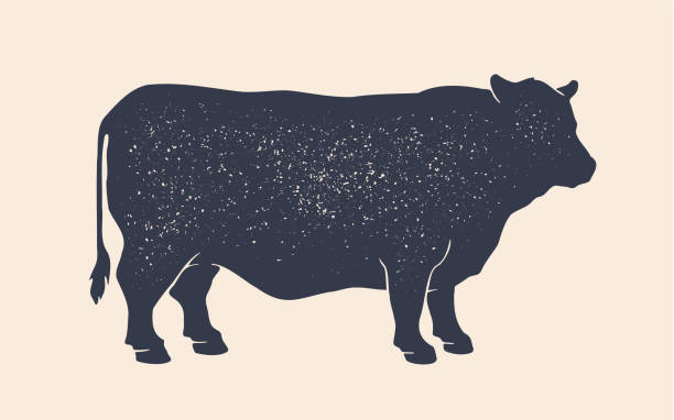 ilustraciones, imágenes clip art, dibujos animados e iconos de stock de silueta de vaca. silueta de vaca con estampado retro vintage - vacas