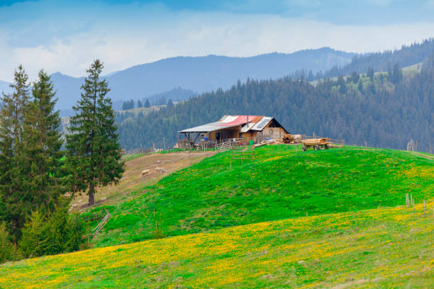 istock sheepfold in Romania. Moldavia landscape 1320117310
