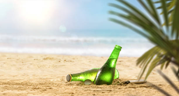 istock Fresh beer bottles in sand on a beach with palm 1320117361