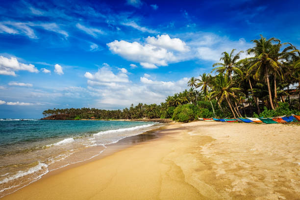 istock Tropical paradise idyllic beach. Mirissa, Sri lanka 1320119014