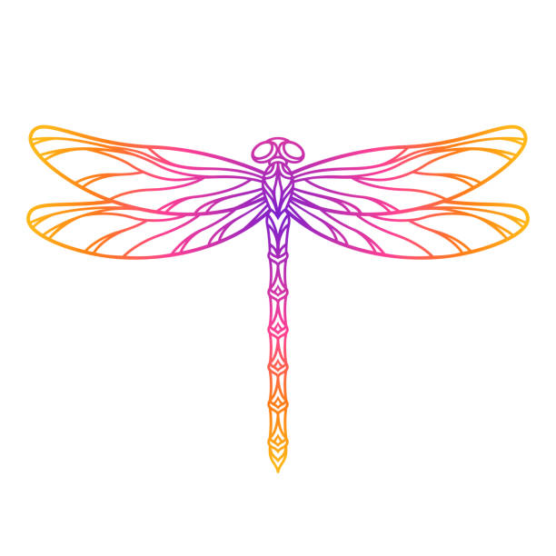 Vector outline dragonfly. Decorative insect silhouette. Template for laser and paper cutting. Vector outline dragonfly. Decorative insect silhouette. Template for laser and paper cutting, printing on a T-shirt, mug. Flat style. Hand drawn decorative element for your design. Isolated on white. dragonfly tattoo stock illustrations