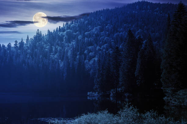 istock landscape with mountain lake at night 1320123217