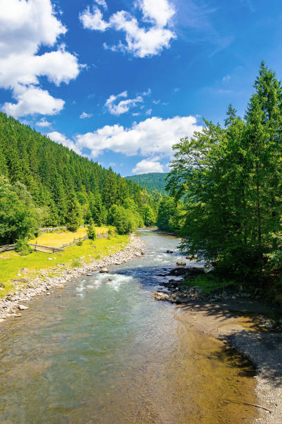 istock river in the valley of carpathian mountains 1320123245