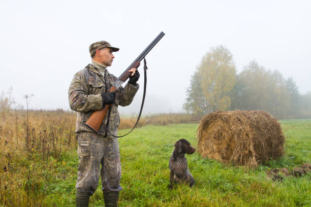 the hunter and his dog stopped in a mown meadow A hunter and his dog stopped in a mown meadow on a foggy morning next to a roll of hay. The hunter holds the shotgun at the ready and listens. wader bird stock pictures, royalty-free photos & images