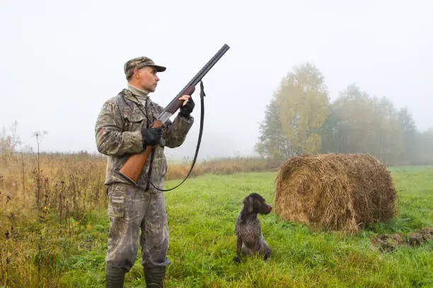 A hunter and his dog stopped in a mown meadow on a foggy morning next to a roll of hay. The hunter holds the shotgun at the ready and listens.